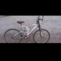 دوچرخه