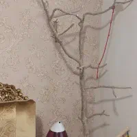 درختچه طوطی چوب پسته|لوازم جانبی حیوانات|تهران, وردآورد|دیوار