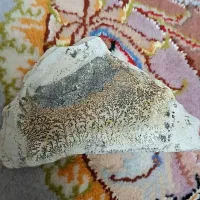 سنگ شجر|جواهرات|اردبیل, |دیوار