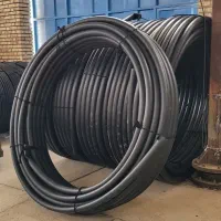 راهنمایی|فعالیت داوطلبانه تحقیقاتی|بندرعباس, |دیوار