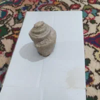 فسیل و شهاب سنگ