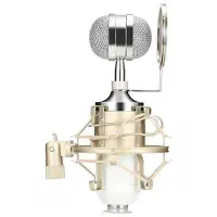 میکروفون استودیویی دقیقا همینی ک تو تصویر میبینید