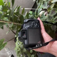 دوربین دیجیتال کانن EOS 1300D