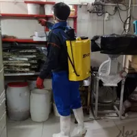 سمپاشی یک مرحله ای ساس سم پاشی سوسک کنه اصولی