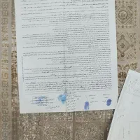 زمین-باغی