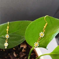 گوشواره بابونه شیک