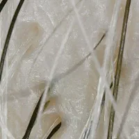 مدل هداسپا(اسکراب اسکالپ)|استخدام درمانی، زیبایی، بهداشتی|اصفهان, تخت فولاد|دیوار