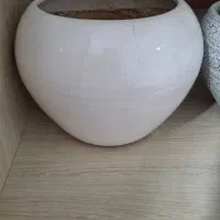 س عدد گلدون|گل و گیاه طبیعی|نیشابور, گنبد سبز|دیوار