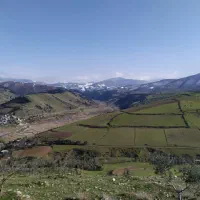فروش ۹ هکتار کشاورزی گندمزار