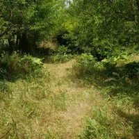 فروش زمین ۵۰۰ متری روستای شیخ میری|فروش زمین و ملک کلنگی|بروجرد, |دیوار