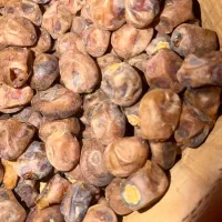 با سلام فروش خرمای برحی|عمده‌فروشی|شادگان, |دیوار