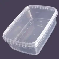 ظروف فریزری
