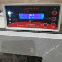 فروش دستگاه جوجه کشی ققنوس