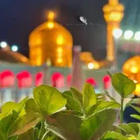 تور مشهد اقتصادی