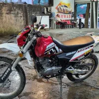 فروش پیشرو گلد ۲۰۰ در حد صفر|موتورسیکلت|رشت, کاکتوس|دیوار