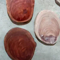 فروش چوب اکالیپتوس و گردو