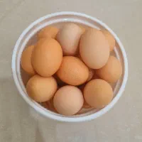 تخم مرغ رسمی