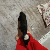 فروش بره شیری