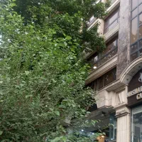 استخدام نیروی خدماتی و نظافتی