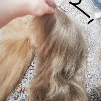 کلاه گیس 2 مدل پوستیژ مو بلند و خوشرنگ فقط 750|فعالیت داوطلبانه|کرج, حیدرآباد|دیوار