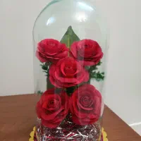 باکس رز شیشه ای