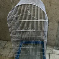 قفس پرنده
