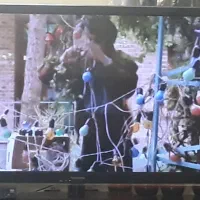 ال ای دی۴۲ پاناسونیک اصل مالزی