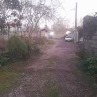 زمین ۲۴۵متری کاملامسکونی زیر قیمت منطقه فوری|فروش زمین و ملک کلنگی|خمام, |دیوار