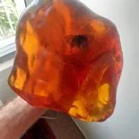 کهربا کوپالین حشره دار