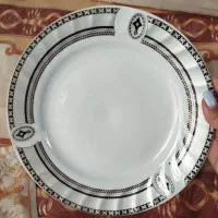 ظروف چینی
