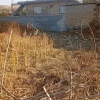 زمین مسکونی