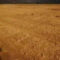 فروش5000متر-زمین-کشاورزی-رو-به-روی-بهنوش