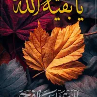 مدارک گم شده بنام سید جلال زاده