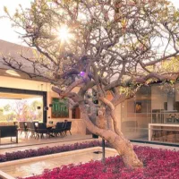 نیاوران-یاسر-380متر-تکواحدی-135میلیارد