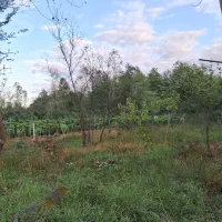 زمین مناسب گل و گیاه