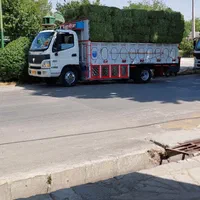 یونجه