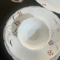 سرویس پذیرایی ارکوپال دسینی|ظروف سرو و پذیرایی|تهران, شهرک گلها (تهرانسر)|دیوار