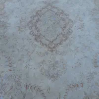 قالی ۱۲ متری|فرش|شیروان (خراسان), |دیوار