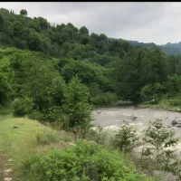 باغ جنگلی بلوردکان گیلان|فروش زمین و ملک کلنگی|اطاقور, |دیوار