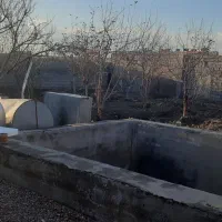 املاک|فروش زمین و ملک کلنگی|مشهد, کوشک مهدی|دیوار