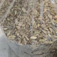 پخش عمده هل اکبر و هل پیو اسپاس وهل های دیگر وغیره|خوردنی و آشامیدنی|تهران, شهرک استقلال|دیوار
