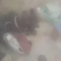 کفش مردانه بچگانه ورنانه