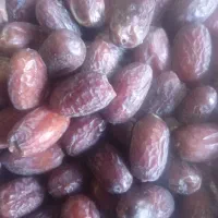 خرما (زردان) ربی)ارم|خوردنی و آشامیدنی|سیب و سوران, |دیوار