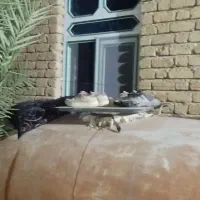 ۴عددپنجره المنیوم ۲در۱