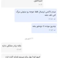 کبوتر رنگی دوکت|پرنده|بندر ماهشهر, |دیوار