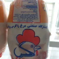 مرغ زاگرس روانسر