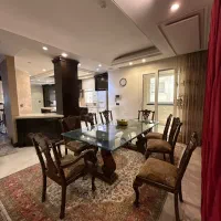 ۳۱۰ متر/شیرکوه/تک واحدی/۳ طرف نور/تراس قابل چیدمان|فروش آپارتمان|تهران, زعفرانیه|دیوار