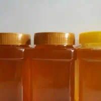 عسل|خوردنی و آشامیدنی|سهند, |دیوار