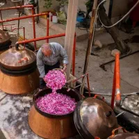 گلاب ناب کاشان|خوردنی و آشامیدنی|رشت, آب آسیاب|دیوار