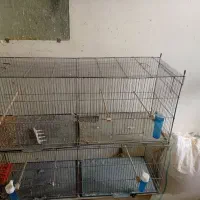 قفس‌‌قناری‌۲عددفروشی|لوازم جانبی حیوانات|بجنورد, |دیوار